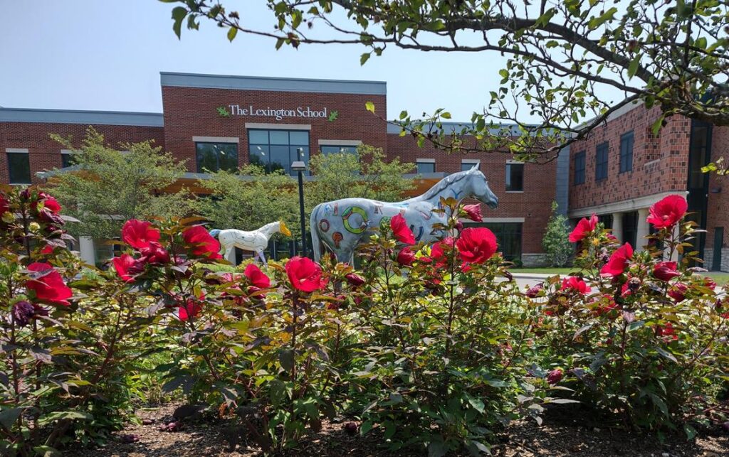 Best Language School in Lexington Fayette Kentucky
