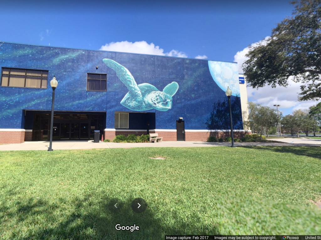 Best Language School in St. Petersburg Florida