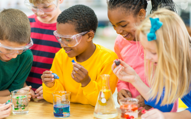 Discover the Best Language School in Akron Ohio