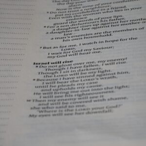 Photo Memorize Spanish Vocabulary
