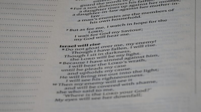 Photo Memorize Spanish Vocabulary