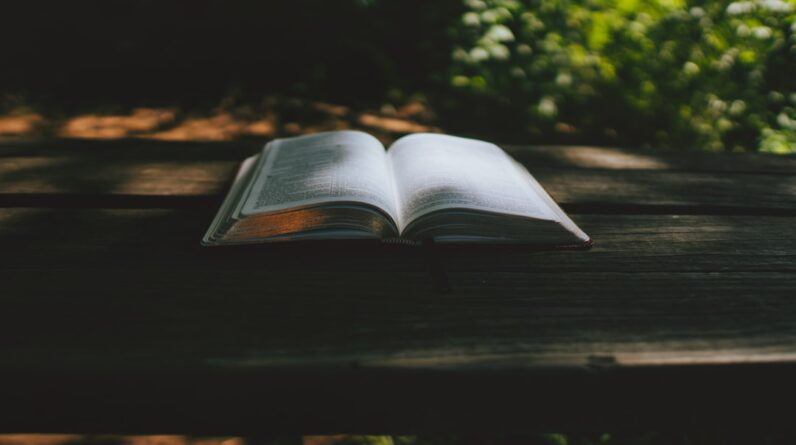 Photo Spanish Language Study Plan