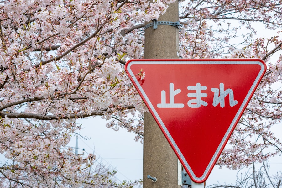 Learn Japanese Language
