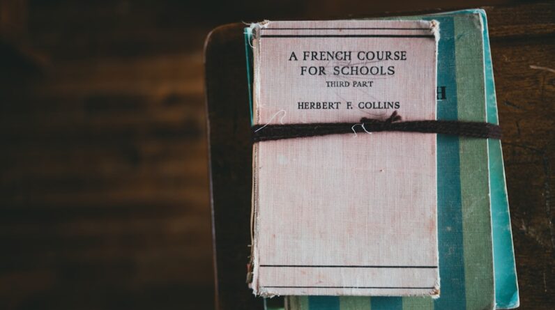 Photo French Book