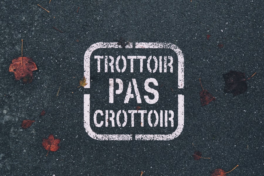Photo French App