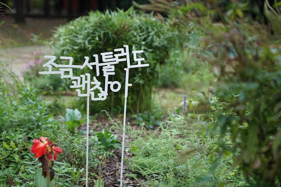 Photo Korean Alphabet