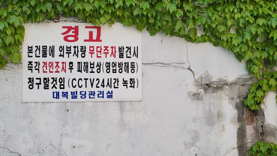 Photo Language School Near Me