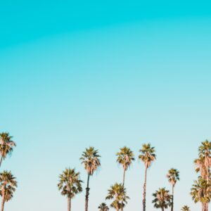 Photo Language School Chandler Az Hours