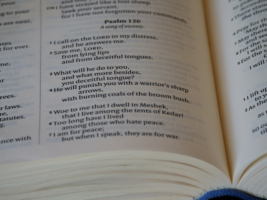 Intensive Language Course in Frisco Texas