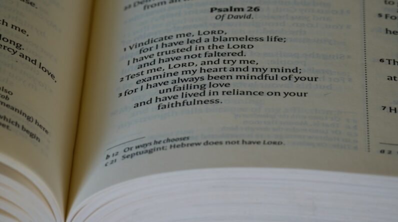 Photo Language Tutoring