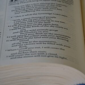 Photo Language Courses