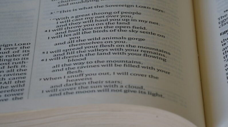 Photo Language Courses