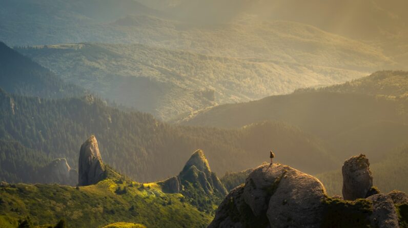 Photo Language Learning Center