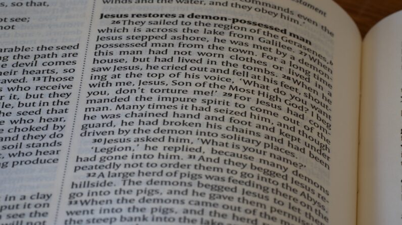 Photo Language Immersion