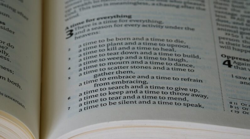 Photo language courses