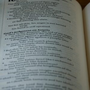 Photo Language Programs