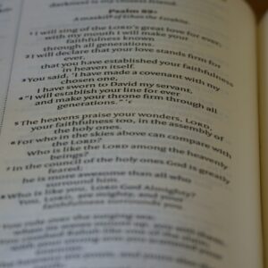Photo Language Training