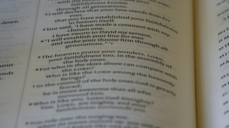 Photo Language Training