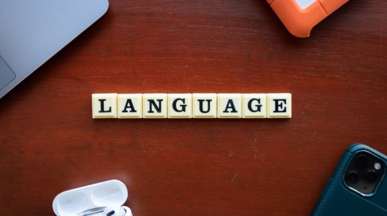 Photo Language Programs