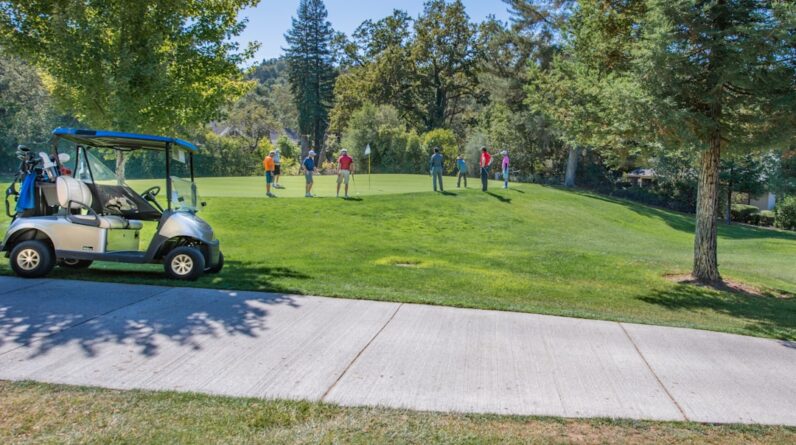 Photo Language Courses