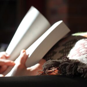 Photo Language School