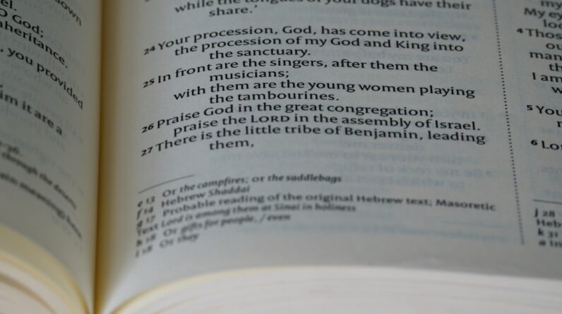 Photo Language Programs